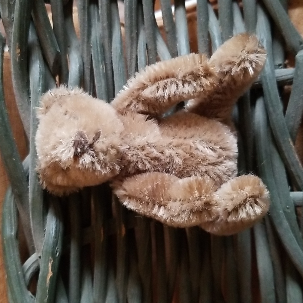 Vintage little bear from 1950s